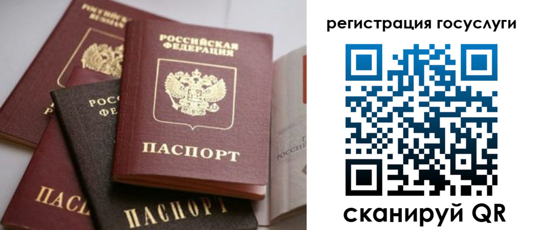 пропишу в квартире в Новгородской области